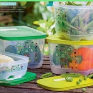 Tupperware FRIDGESMART 4 pc set